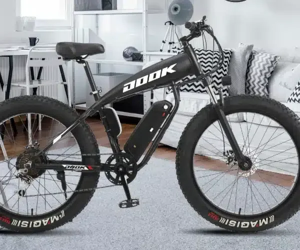 Simba Electric Bike