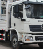 Shacman 20 Tons Cargo Truck - Image 4