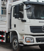 Shacman 20 Tons Cargo Truck - Image 2