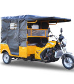 Custom Electric Open Cargo Tricycle